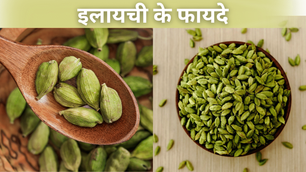 इलायची का उपयोग