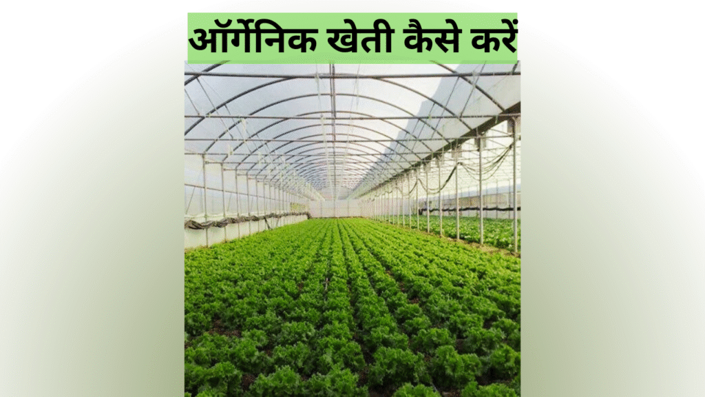 ऑर्गेनिक खेती कैसे करें