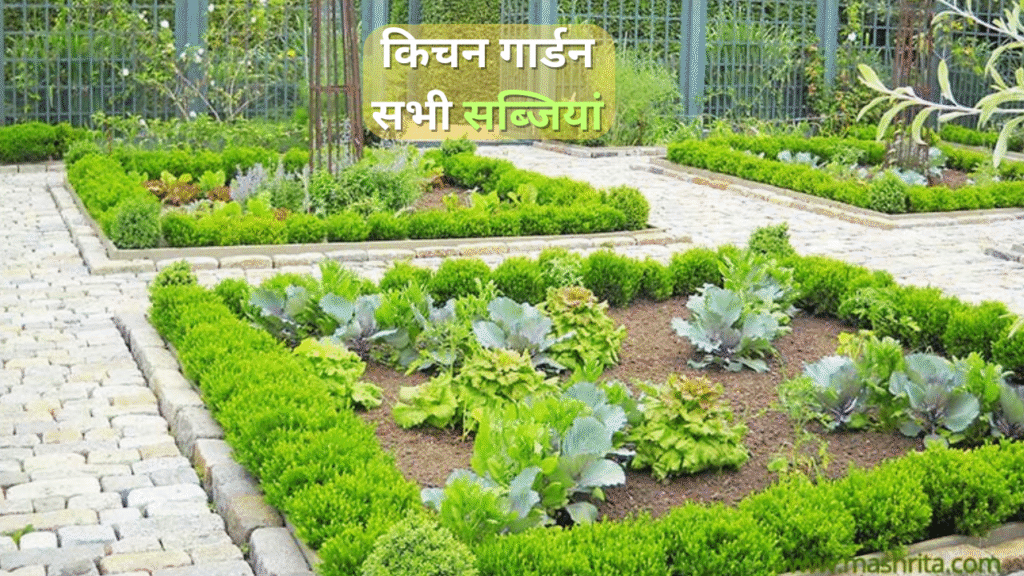 किचन गार्डन