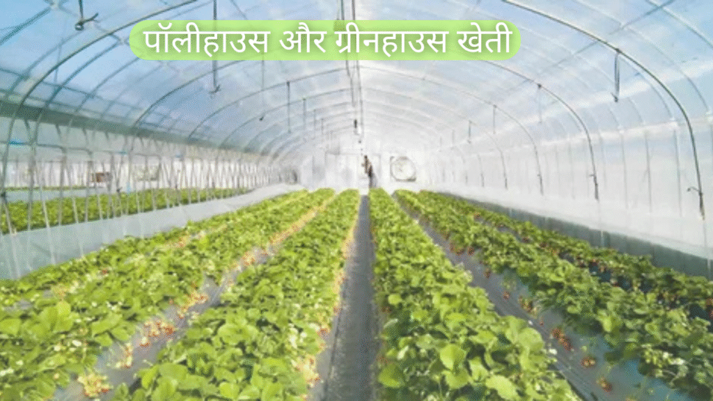 पॉलीहाउस और ग्रीनहाउस खेती